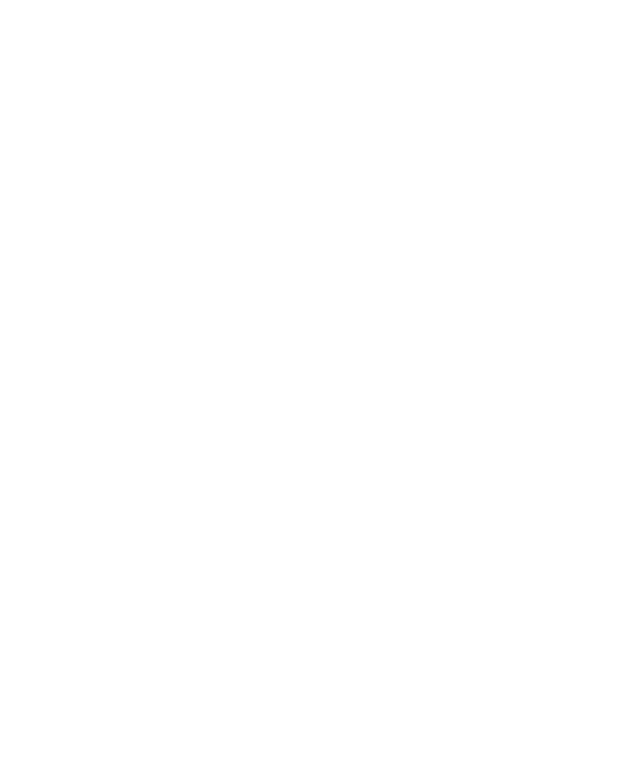 Heinz KURZ GmbH Medizintechnik